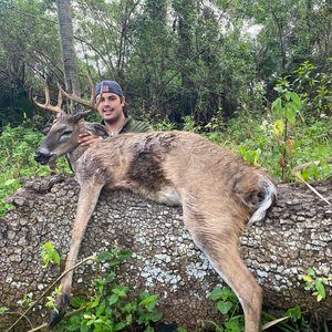 Meet your Posher, Ralph